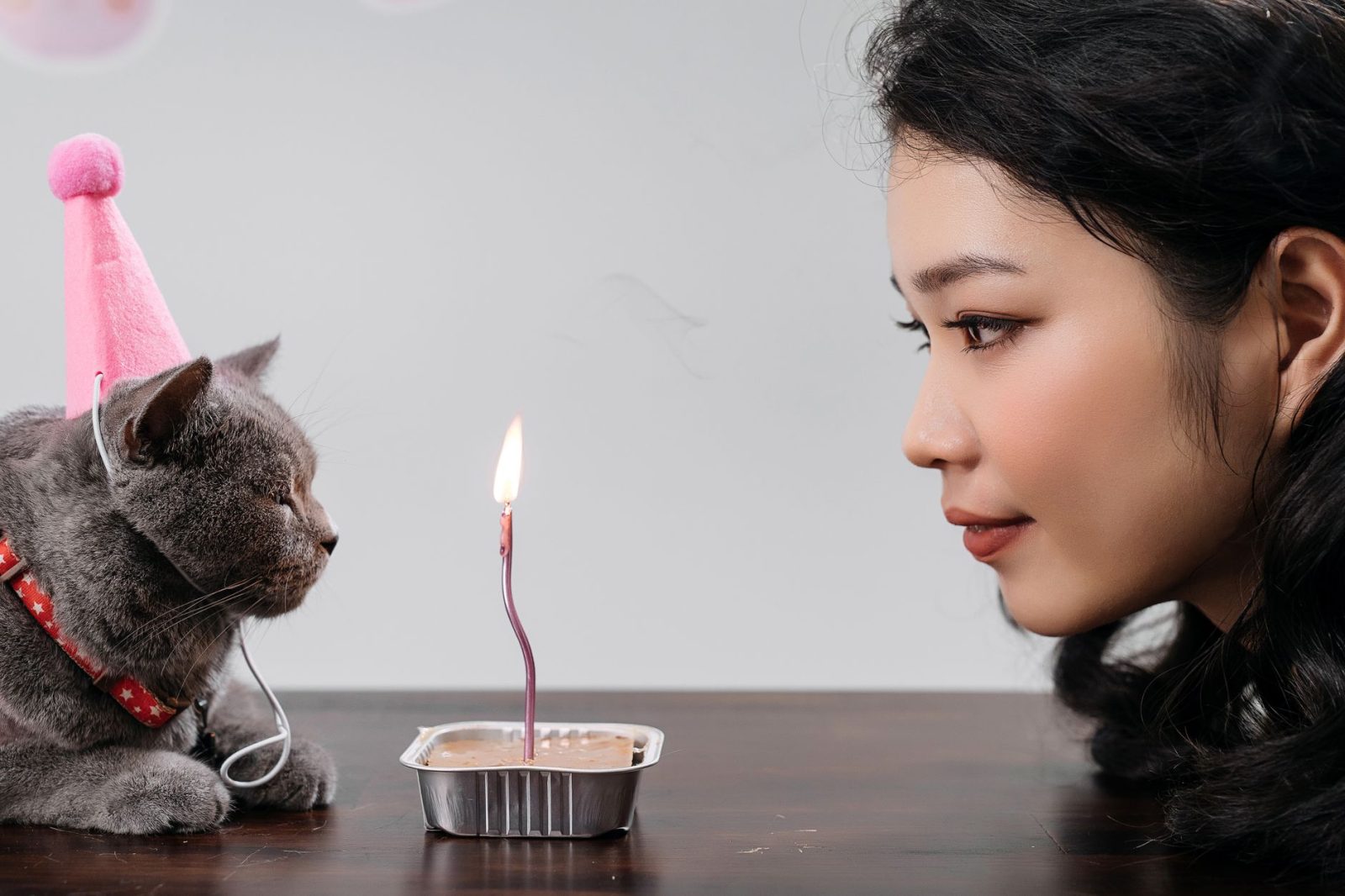猫咪100支营养湿粮包：先看清包装数量和产品定位