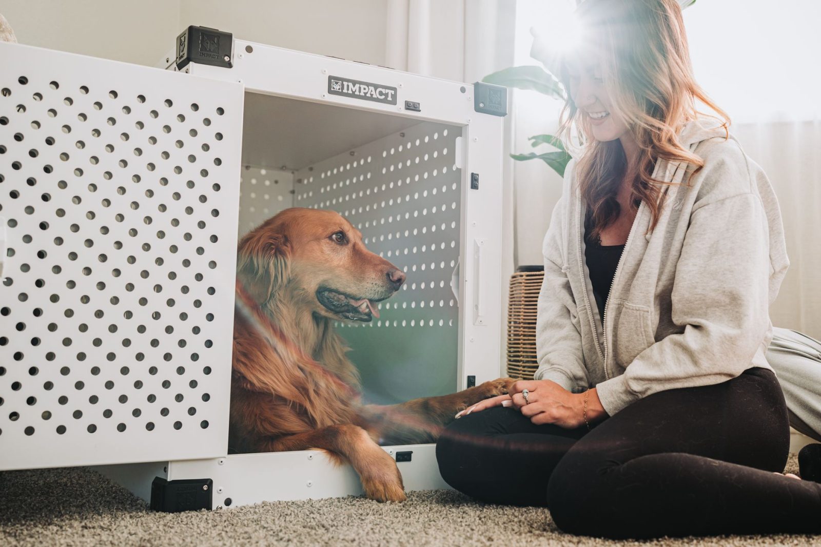 常见小型犬狗笼的外观样式与主体构造特征梳理