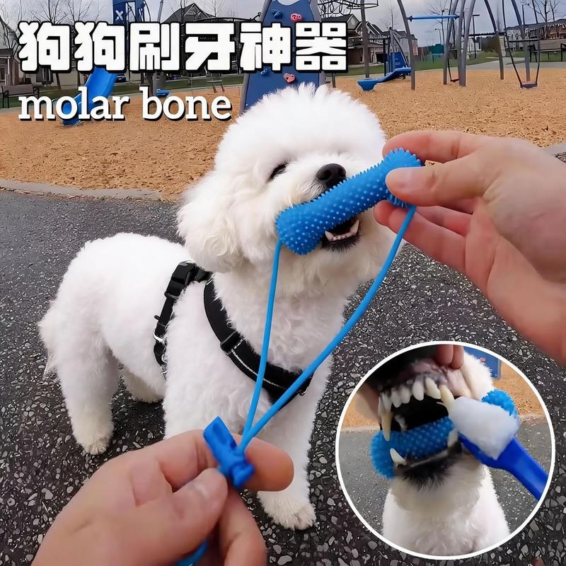 狗狗刷牙辅助器 宠物洁牙玩具 清洁磨牙 食品级安全材质 解闷