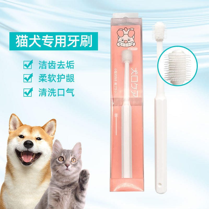 宠物牙刷 猫狗360度口腔清洁小头牙刷 食品级PPTPR