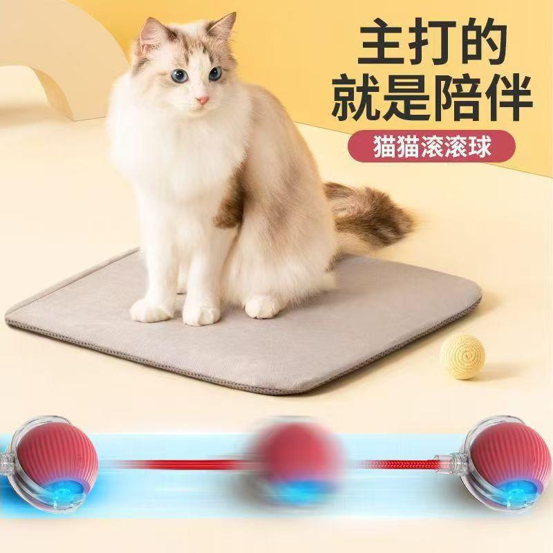 智能电动逗猫球 自动躲避宠物猫咪玩具