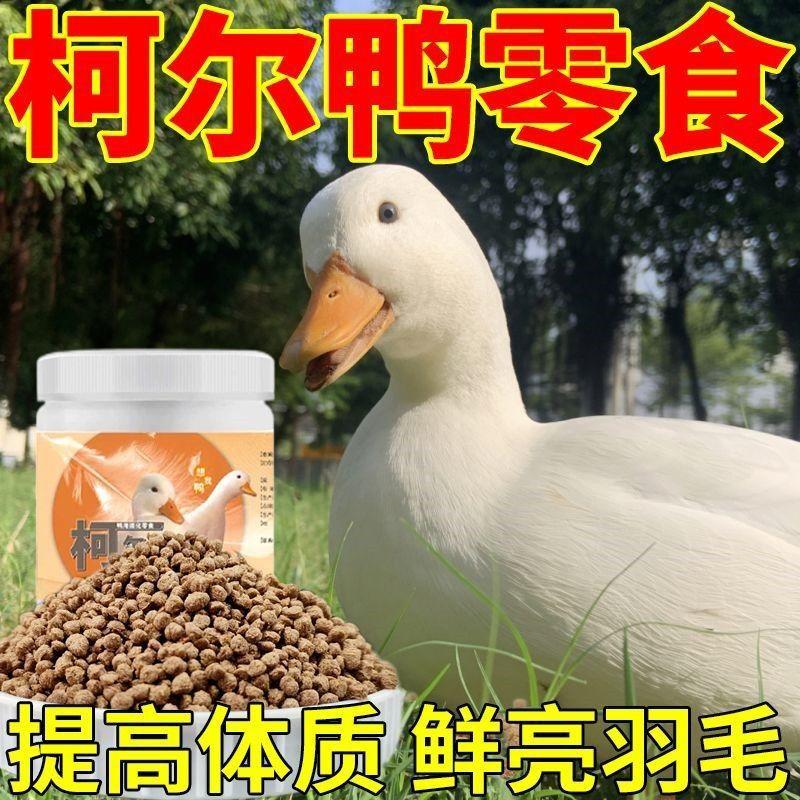 柯尔鸭高钙营养饲料 雏幼小黄鸭开口果蔬粮零食