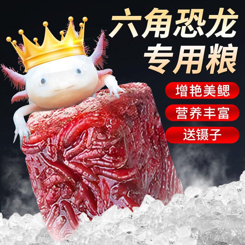 六角恐龙鱼饲料 冰冻红虫 娃娃鱼下沉鱼食 美腮增艳开口专用