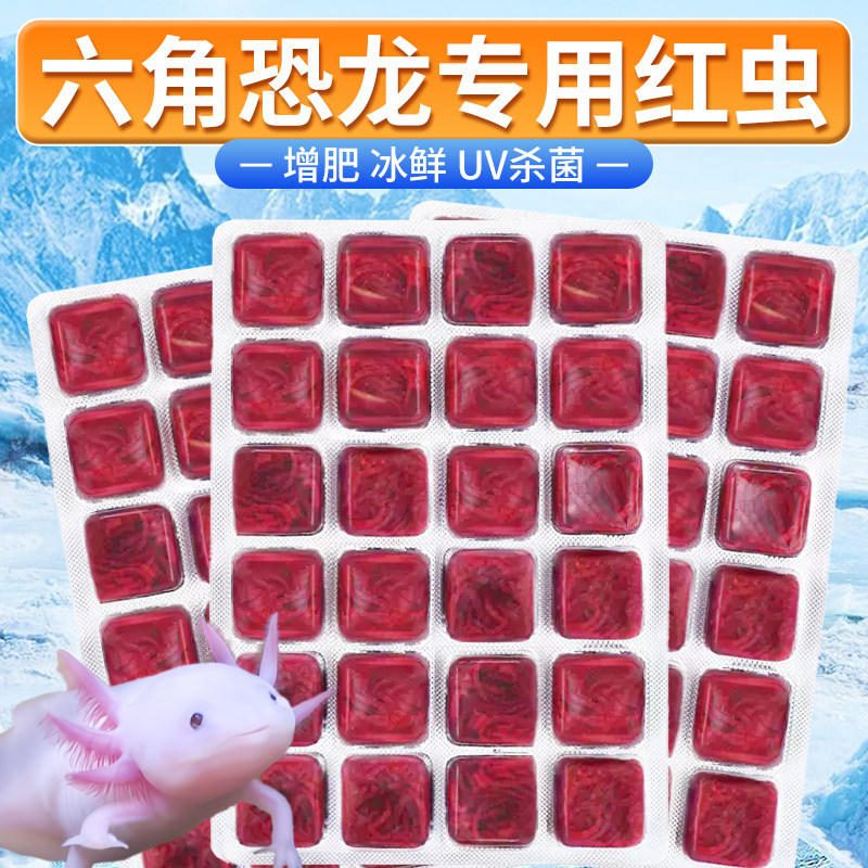 冰冻红虫鱼粮 六角恐龙鱼蝾螈罗汉鹦鹉热带鱼开口饲料